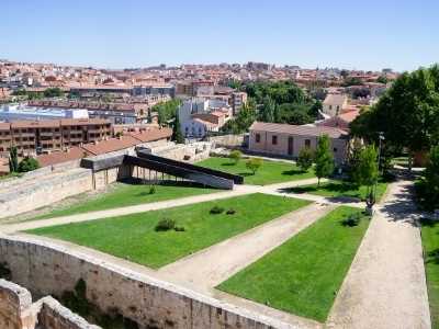 Zamora